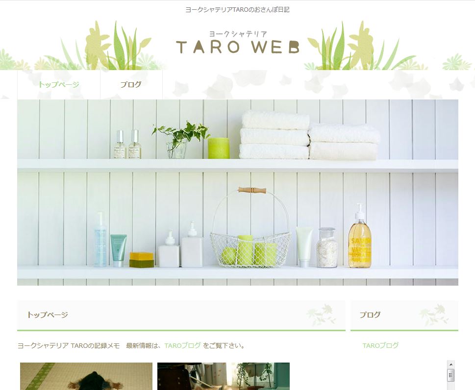 TARO WEB